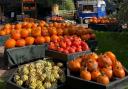 Discover bountiful pumpkin displays in Autumn.