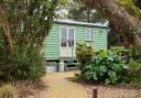 Holly Lodge Shepherd's Hut.