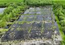 The network of bunds at Westhay Moor are clearly visible from above.