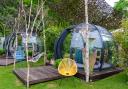 Domes can be hired at £75 per person