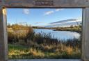 Ripon City wetlands.