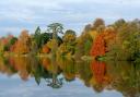 Autumn colours reflected in the lake at Sherborne Castle and Gardens. (Photo: Sherborne Castle Estate)