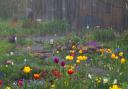 Heavy showers could water log our lawns and damage our flower beds