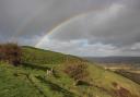 The right-fork bridleway track on Hambledon Hill at point 3.