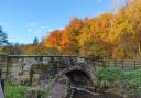 Autumn colour at Hold Caldron.