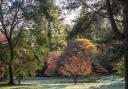 Batsford glows in the early light of a crisp autumn morning.