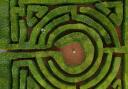 A gardener at Hever Castle works in the maze