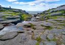 Kinder Downfall