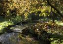 Water adds sparkle to the autumnal scene at Exbury