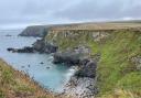 Seals sleeping in Mutton Cove in Godrevy National Trust