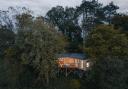 The Elmore Court treehouses.