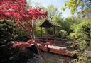 The Japanese Garden in St Mawgan has been highly praised by visitors