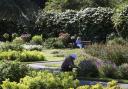 Relaxing in or working in, community gardens offer multi-purpose benefits