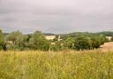 West Suffolk's enormous fields under wide skies are a distinctive feature of the landscape. Photo: Jayne Lindill