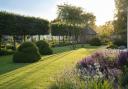 Organic yew dome shapes in an Oxfordshire garden, named 'the currant buns' by the owner.