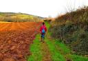 The footpath runs beside winter ploughland