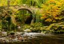 Foley's Bridge over the Shimna River in Tollymore Forest Park in Ireland.