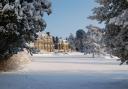 Ashdown Park in the snow