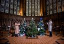 York Minster gears up for a seasonal and sparkling Christmas Tree festival. Charlotte Graham