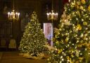 Festooned Christmas trees in the carved room at Petworth