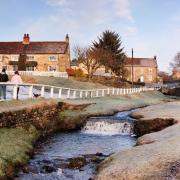 The morning sun illuminates a coating of frost at Hutton le Hole. (c) RJBPhotography