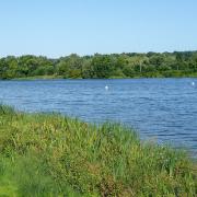 Whitlingham Country Park is perfect for a picnic (photo: Michael Button, Flickr, CC BY 2.0)