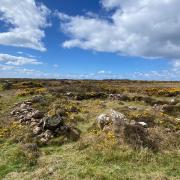 Hut circles at Kynance Gate, Cornwall