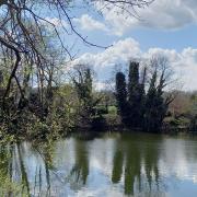 Sevenoaks Wildlife Reserve is a lovely spot for a wander