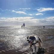 A family walk at Hoylake