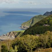 Exmoor is a unique habitat. Photo: Nigel Stone