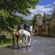 Cotswold Horses © jamesdavidphoto