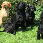 Ash (far left) and family