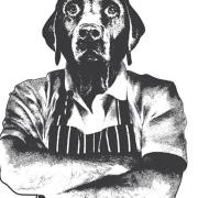 Cotswold Butcher Dog