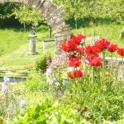 Knitson Old Farm House, Corfe Castle