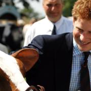 Prince Harry at the Royal Norfolk Show (photo: James Bass)