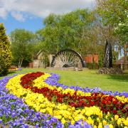 Clay Cross is famed for its flower displays