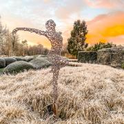 Liberté by Simon Gudgeon, with planting scheme by Monique Gudgeon at Sculpture by the Lakes