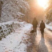 Woodland Trust sites are open all year round