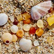 Nurdles are hiding in plain sight amongst shells and stones on our beaches.