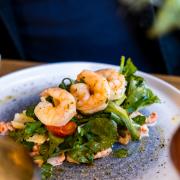 Crayfish and Prawn Salad