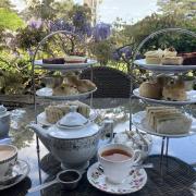 A smashing afternoon tea at Knoll House, Stu's vegan option on the left and mine on the right. (Photo: Helen Stiles)