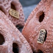 The 'alien-like' artificial habitats aim to encourage marine biodiversity. Tony Bartholomew