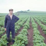 Wesley Wyatt with 100 acres of potatoes. Photo: Wesley Wyatt