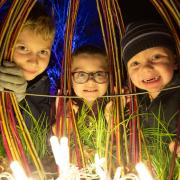 GLOW at RHS Hyde Hall.  Credit: Lee Charlton