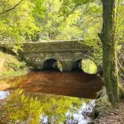 Autumn at The Goit in at White Coppice. PHOTO: Jon Flinn