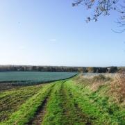 The walk takes you around the tranquil countryside on the outskirts of King's Lynn. Photo: Peter James