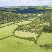 Blinsham sits above the River Torridge and has wonderful gardens and grounds