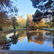 The lily pond in Witton Park. PHOTO: Stephen Whitehead