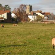 The approach to Nafferton.