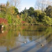 Walkington Mere.